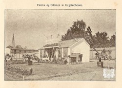 Ferma ogrodnicza w Częstochowie.